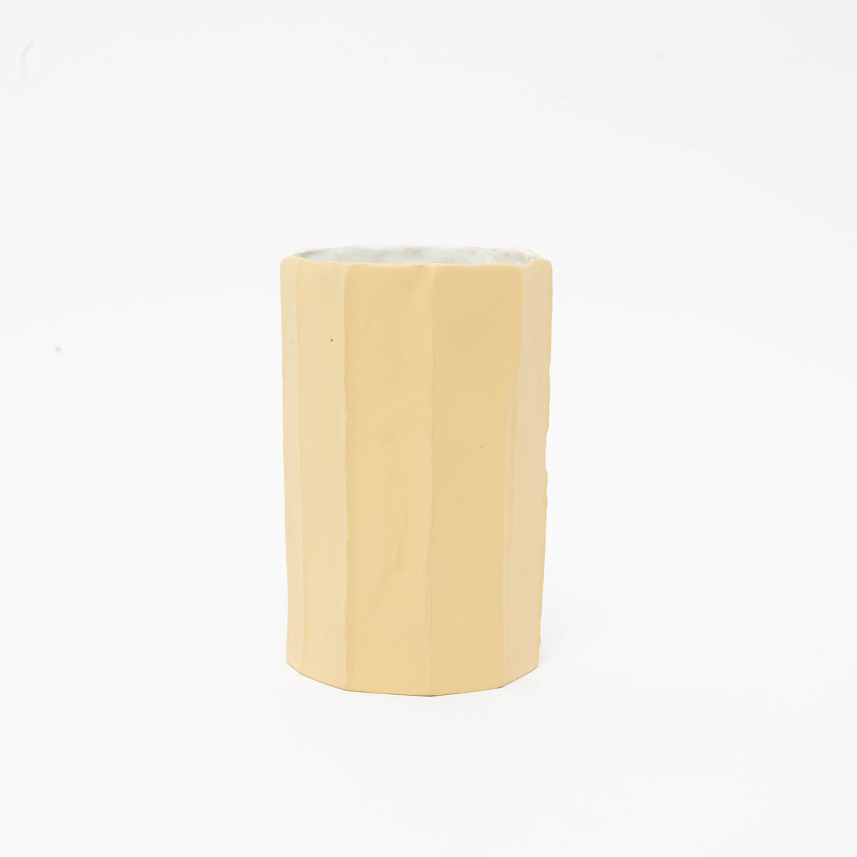Vaso Cactus in paperclay H60