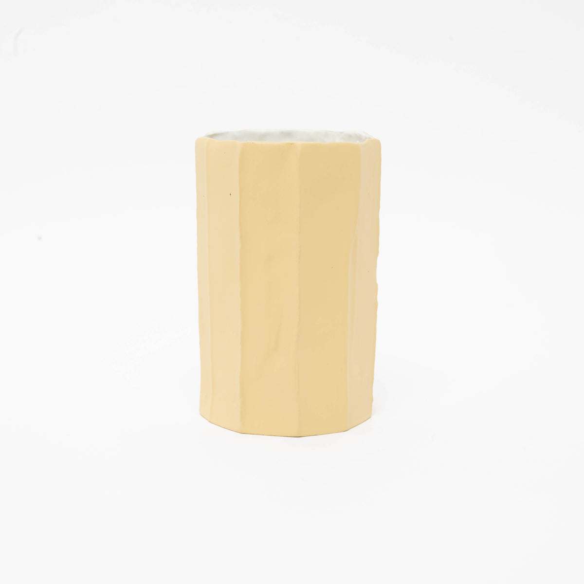 Vaso Cactus in paperclay H60