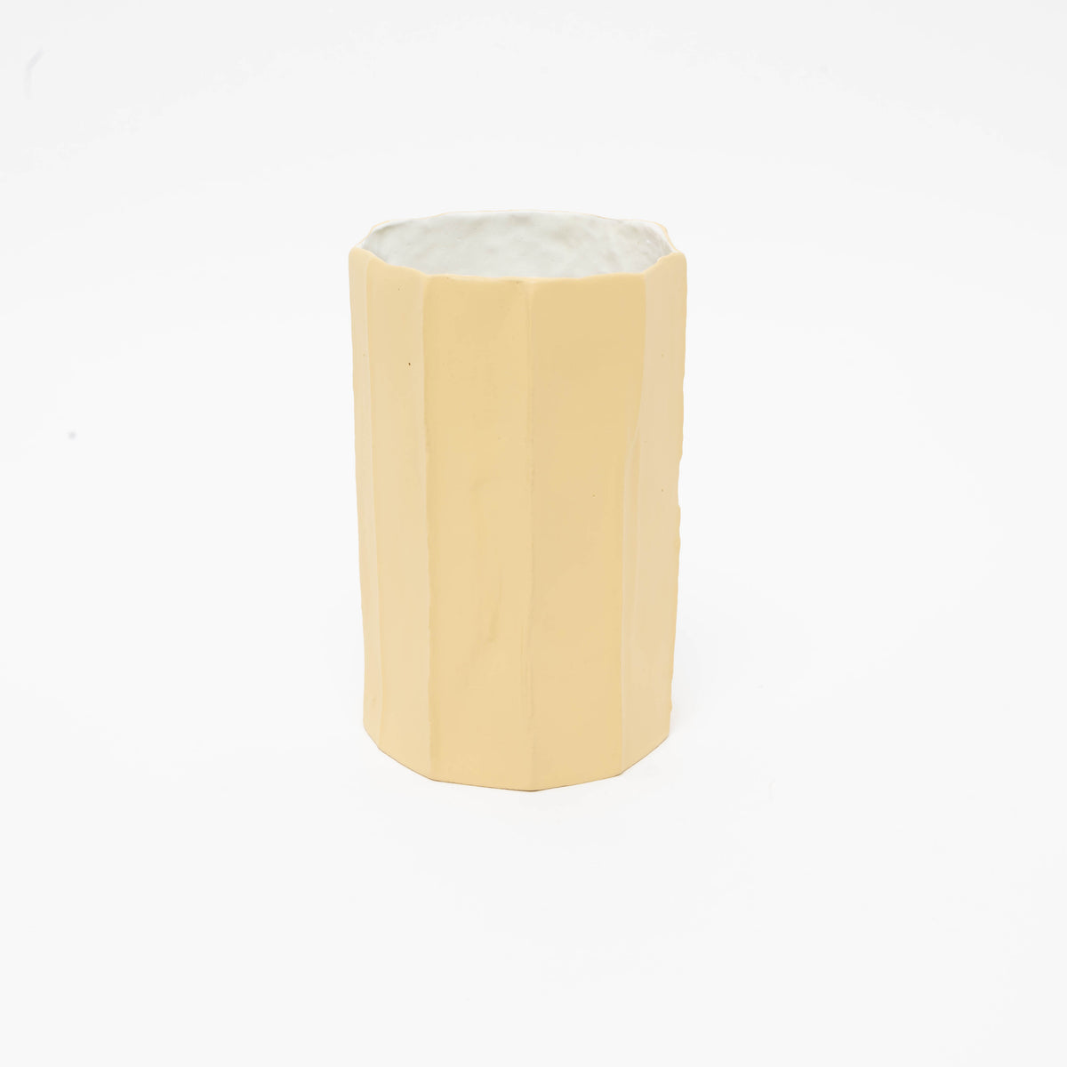 Vaso Cactus in paperclay H60