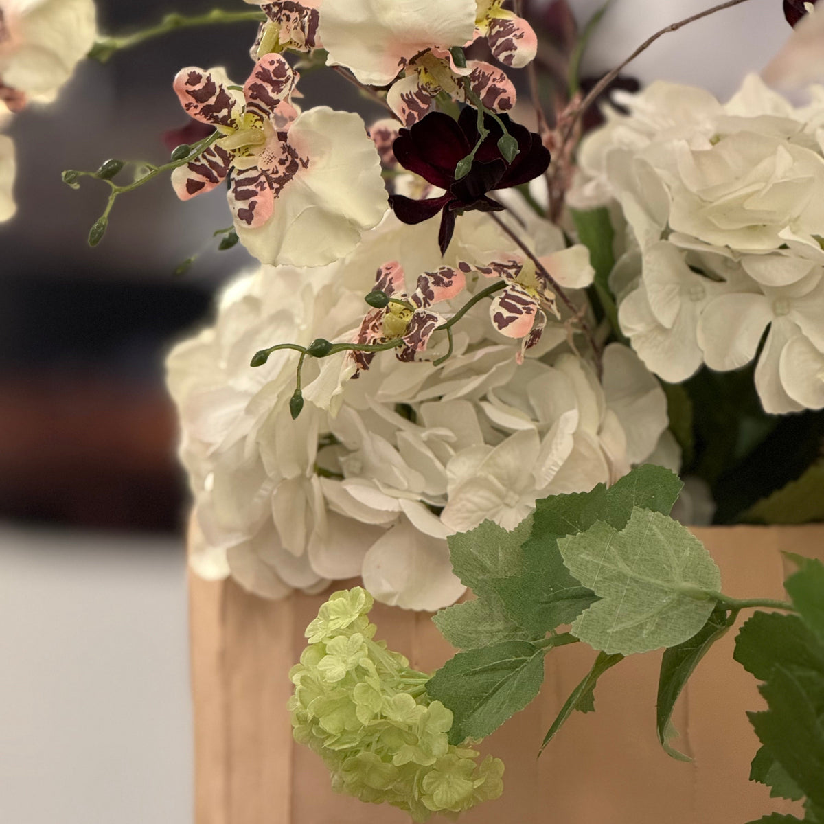 Signorina Schale paperclay C12